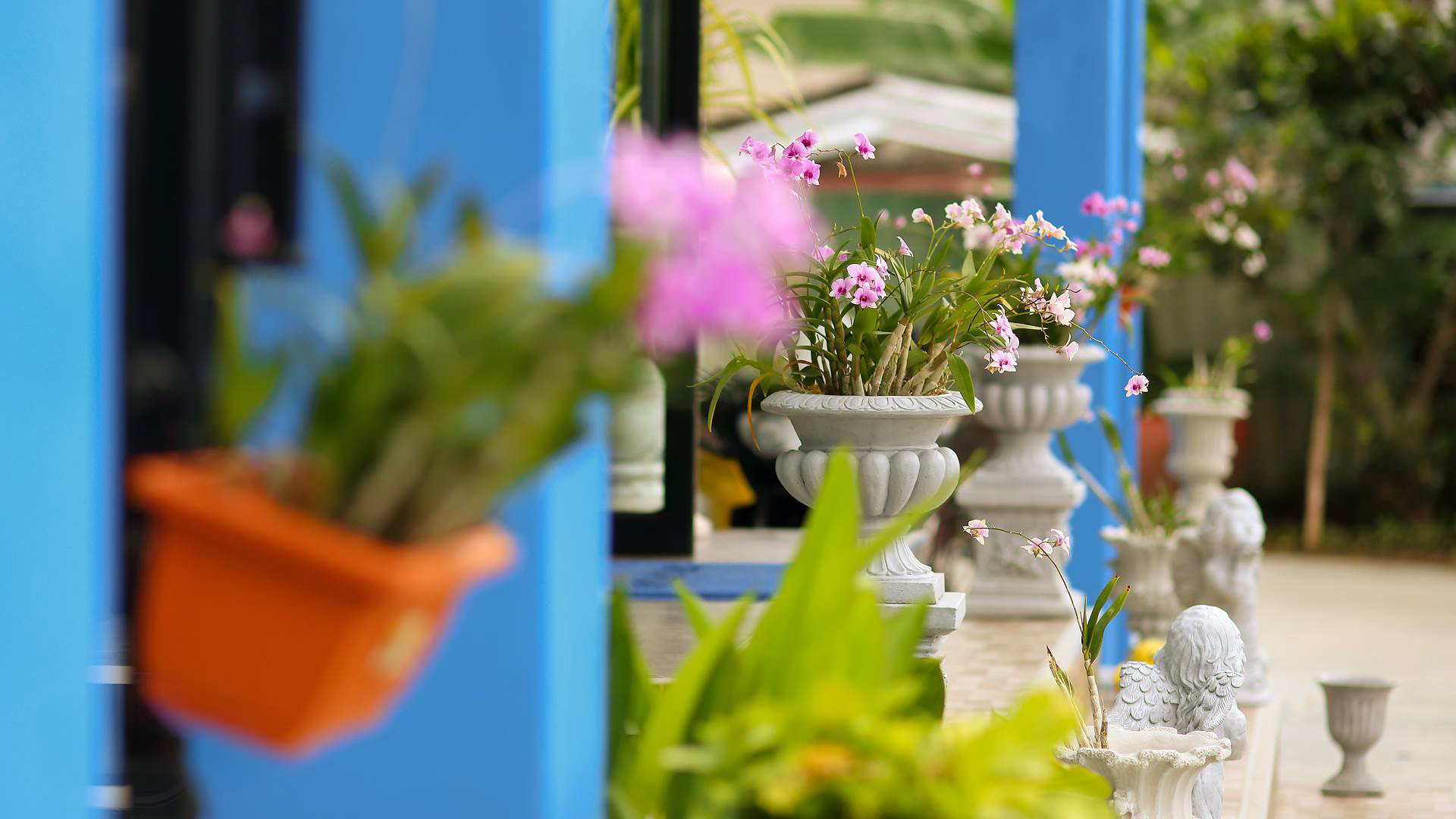 บรรยากาศ